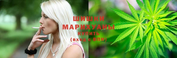 гидропоника Заводоуковск